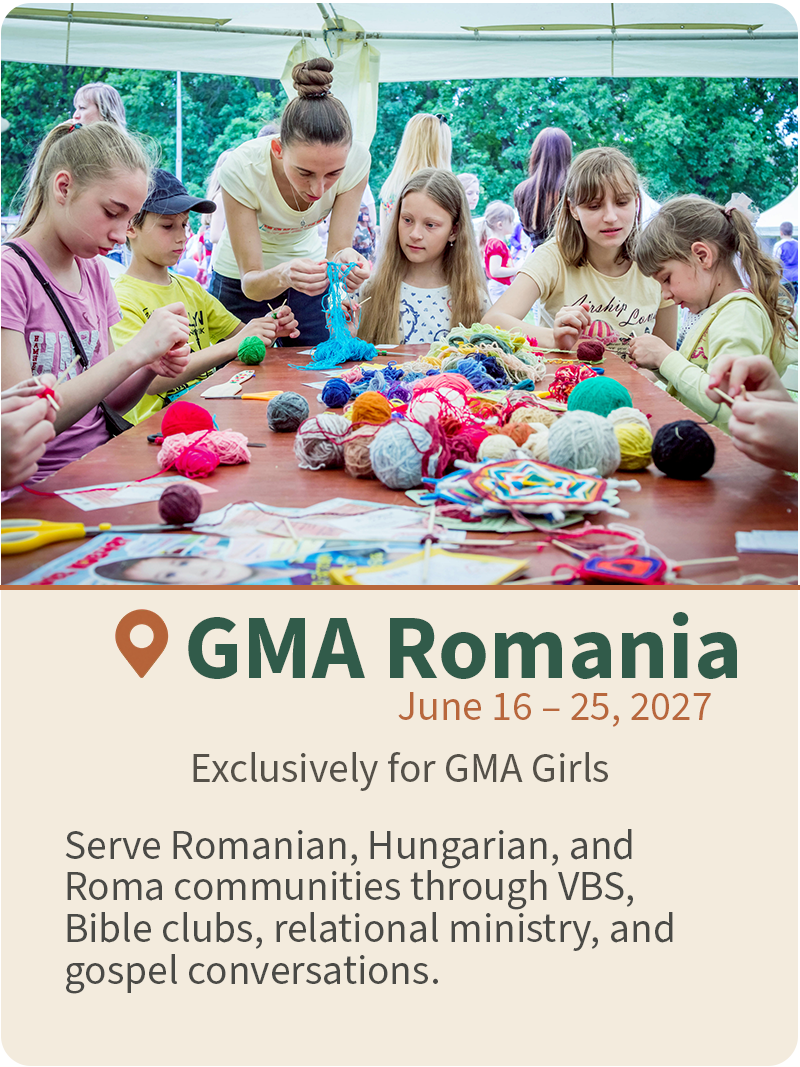 VSM Trip Card - GMA Romania