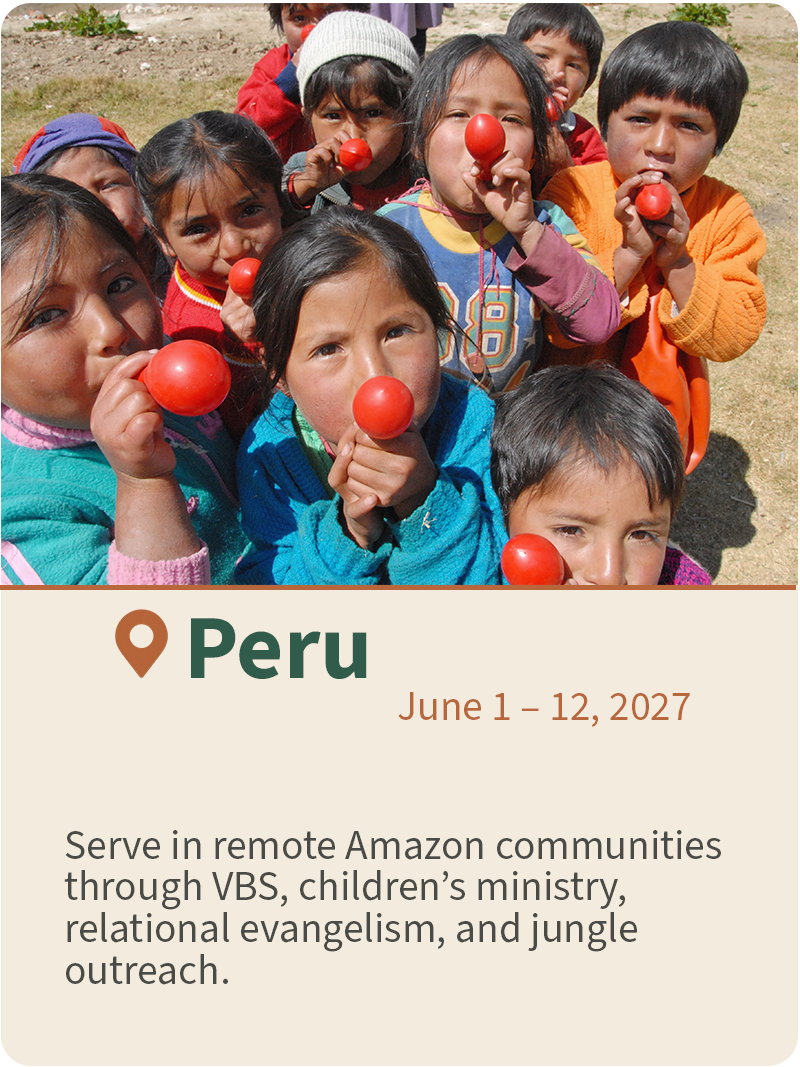 VSM Trip Card - Peru