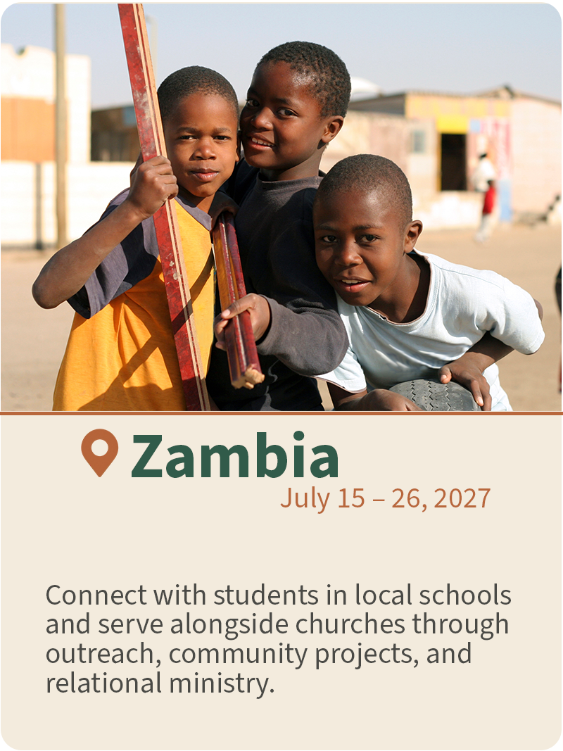 VSM Trip Card - Zambia
